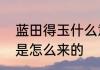 蓝田得玉什么意思　蓝田生玉这个词是怎么来的