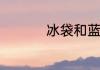 冰袋和蓝冰哪个管得久