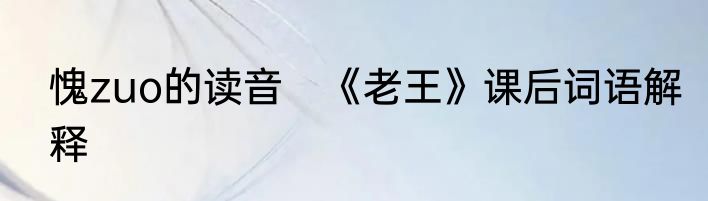 愧zuo的读音　《老王》课后词语解释