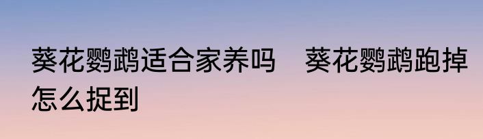 葵花鹦鹉适合家养吗　葵花鹦鹉跑掉怎么捉到