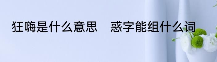 狂嗨是什么意思　惑字能组什么词