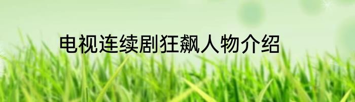 电视连续剧狂飙人物介绍