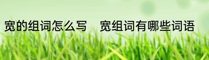 宽的组词怎么写　宽组词有哪些词语