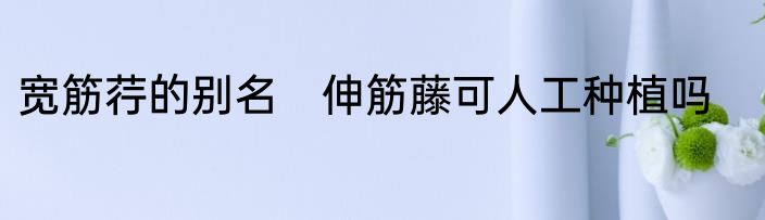 宽筋荇的别名　伸筋藤可人工种植吗