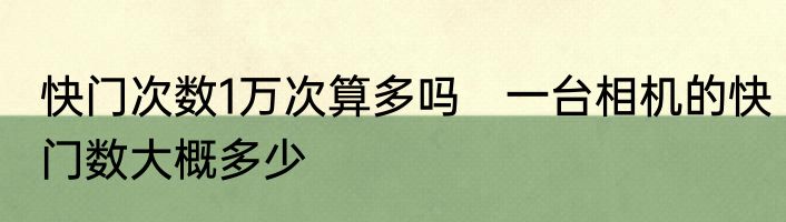 快门次数1万次算多吗　一台相机的快门数大概多少