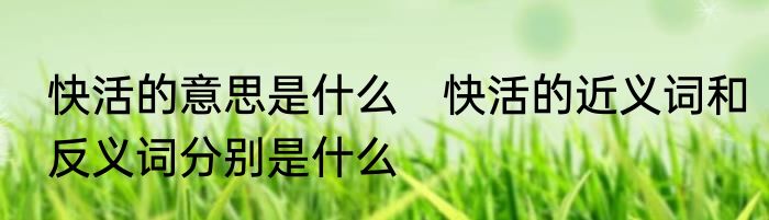 快活的意思是什么　快活的近义词和反义词分别是什么