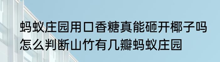 蚂蚁庄园用口香糖真能砸开椰子吗　怎么判断山竹有几瓣蚂蚁庄园