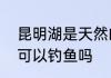 昆明湖是天然的还是人工的　昆明湖可以钓鱼吗