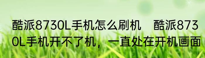 酷派8730L手机怎么刷机　酷派8730L手机开不了机，一直处在开机画面
