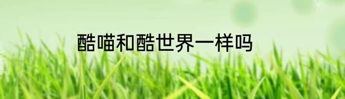 酷喵和酷世界一样吗