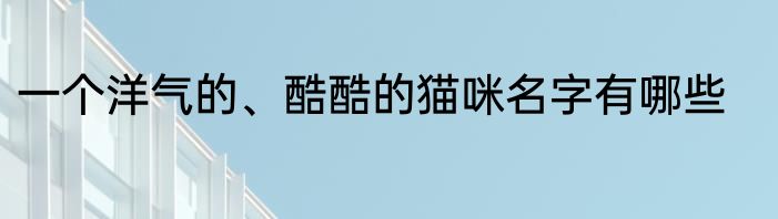 一个洋气的、酷酷的猫咪名字有哪些