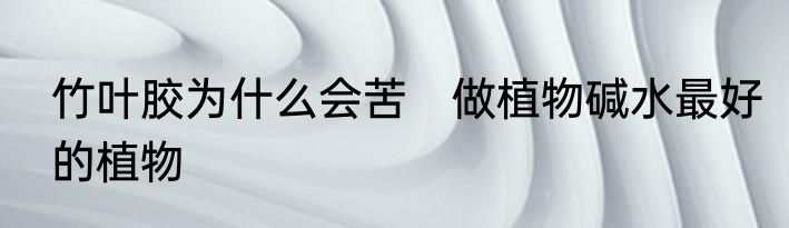 竹叶胶为什么会苦　做植物碱水最好的植物