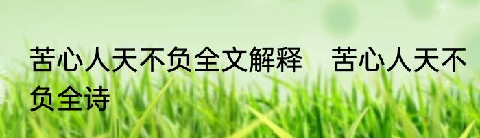 苦心人天不负全文解释　苦心人天不负全诗