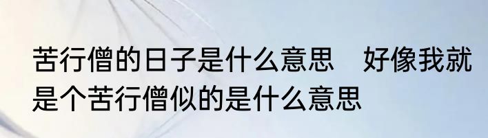 苦行僧的日子是什么意思　好像我就是个苦行僧似的是什么意思