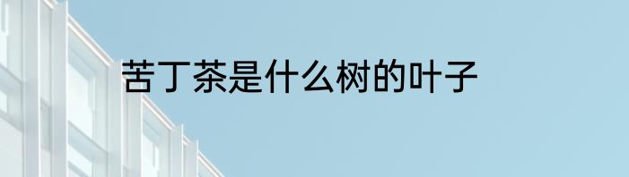 苦丁茶是什么树的叶子