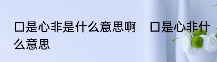 口是心非是什么意思啊　口是心非什么意思
