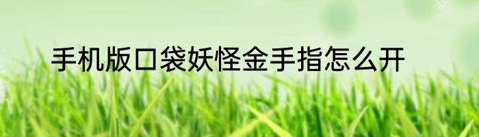 手机版口袋妖怪金手指怎么开