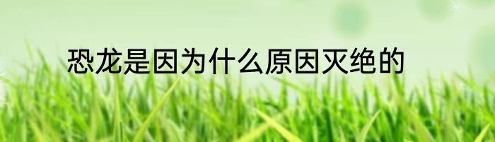 恐龙是因为什么原因灭绝的