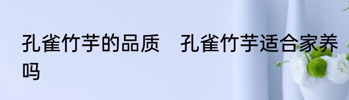 孔雀竹芋的品质　孔雀竹芋适合家养吗