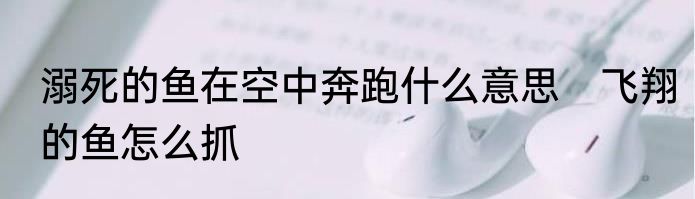 溺死的鱼在空中奔跑什么意思　飞翔的鱼怎么抓