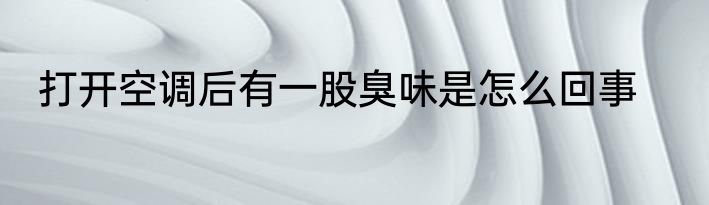 打开空调后有一股臭味是怎么回事
