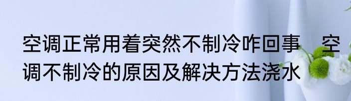 空调正常用着突然不制冷咋回事　空调不制冷的原因及解决方法浇水