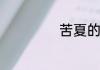苦夏的含义是什么
