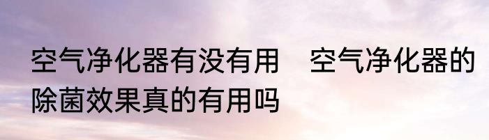 空气净化器有没有用　空气净化器的除菌效果真的有用吗
