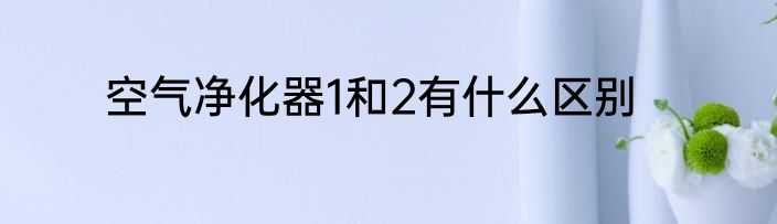 空气净化器1和2有什么区别