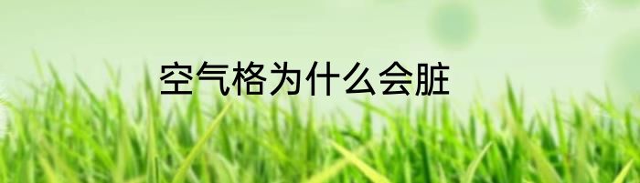 空气格为什么会脏