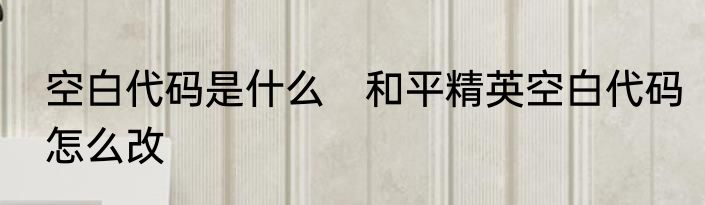 空白代码是什么　和平精英空白代码怎么改