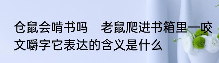 仓鼠会啃书吗　老鼠爬进书箱里—咬文嚼字它表达的含义是什么