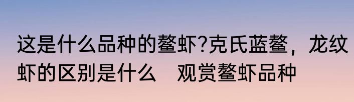 这是什么品种的鳌虾?克氏蓝鳌，龙纹虾的区别是什么　观赏鳌虾品种