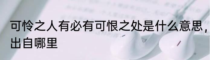 可怜之人有必有可恨之处是什么意思，出自哪里
