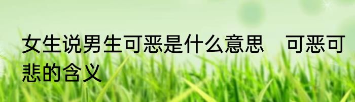 女生说男生可恶是什么意思　可恶可悲的含义