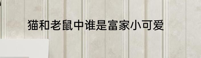 猫和老鼠中谁是富家小可爱