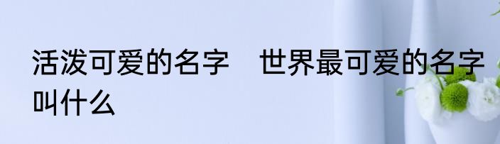 活泼可爱的名字　世界最可爱的名字叫什么
