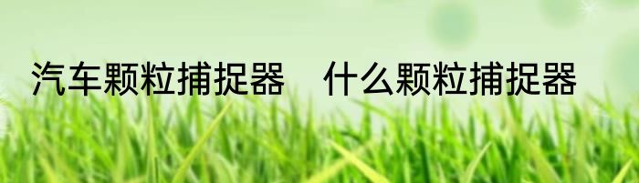 汽车颗粒捕捉器　什么颗粒捕捉器