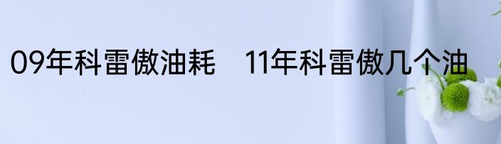 09年科雷傲油耗　11年科雷傲几个油