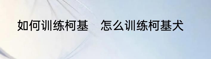 如何训练柯基　怎么训练柯基犬