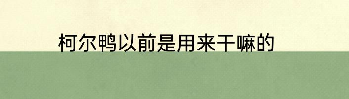 柯尔鸭以前是用来干嘛的