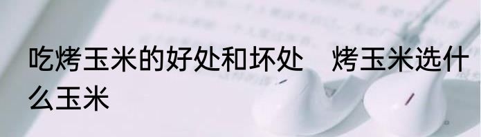 吃烤玉米的好处和坏处　烤玉米选什么玉米