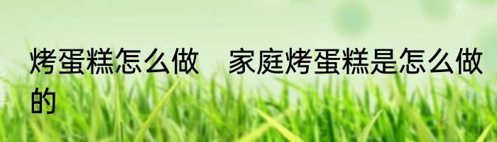 烤蛋糕怎么做　家庭烤蛋糕是怎么做的