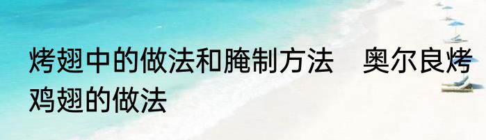 烤翅中的做法和腌制方法　奥尔良烤鸡翅的做法
