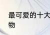 最可爱的十大动物　全国最可爱的动物