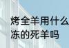 烤全羊用什么羊合适　烤全羊都是冷冻的死羊吗