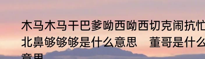 木马木马干巴爹呦西呦西切克闹抗忙北鼻够够够是什么意思　董哥是什么意思