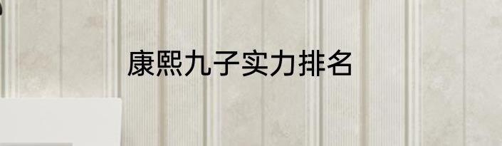 康熙九子实力排名