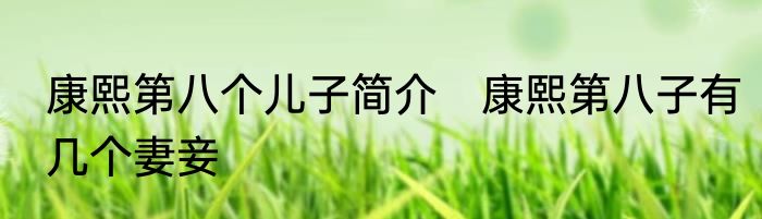 康熙第八个儿子简介　康熙第八子有几个妻妾