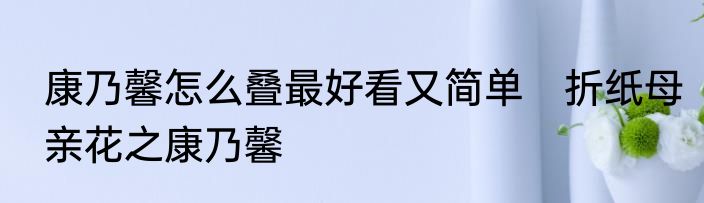 康乃馨怎么叠最好看又简单　折纸母亲花之康乃馨